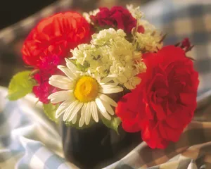 鲜花装饰 第四辑_14