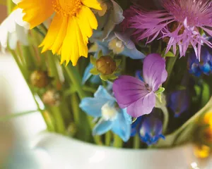 鲜花装饰 第三辑_13