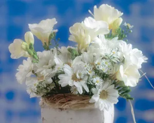 鲜花装饰 第一辑_15