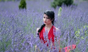 薰衣草美女唯美图片_1