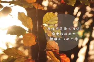 秋日正能量文字图片_1