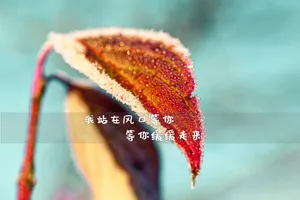 小清新非主流带字图片_1