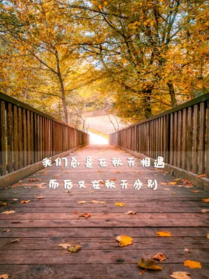 秋季唯美说说图片_1