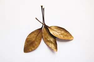 仿真树叶图片第1张