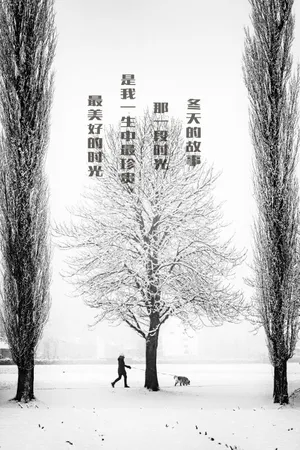冬天的故事文字图片_1