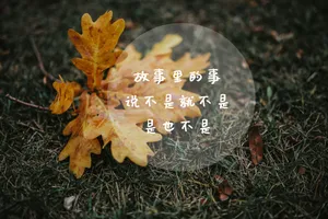 经典文字说说图片_1