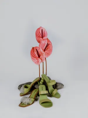 另类花艺图片_1