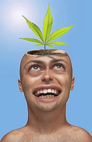 向阳而生另类图片_1