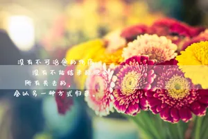 悟性人生文字图片_1