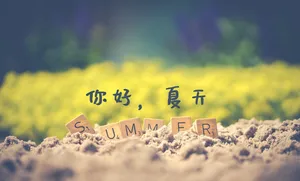 你好夏天图片文字_1