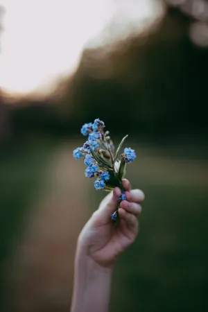 非主流手拿蓝色小花图片_1