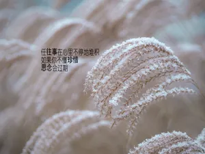 爱情伤感说说带字图片_1