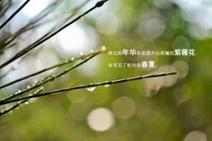 文艺小清新文字图片_1