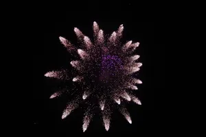新年烟花图片_1