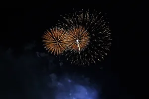 绽放的烟花图片_1