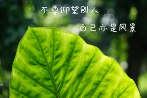 非主流带字的图片_1