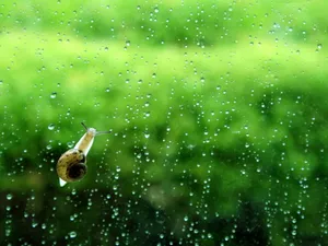 雨唯美伤感意境图片第1张
