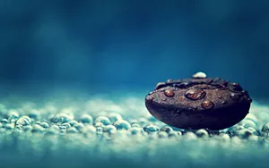 非主流水珠石头图片_1