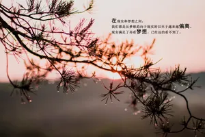 非主流个性文字图片_1