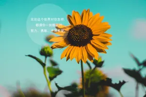充满希望文字图片_1