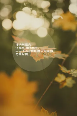 唯美文字伤感图片_1
