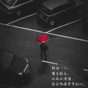忧伤唯美高清文字图片第1张