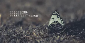 失恋治愈系文字霸气_1