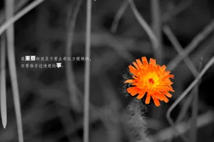 带文字的励志图片_1