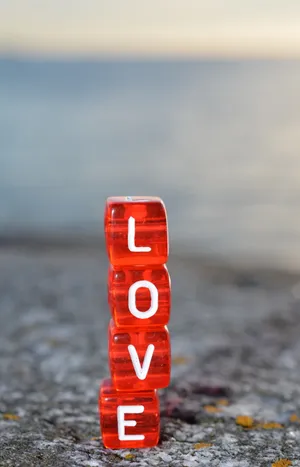 七夕情人节LOVE图片_1