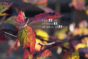说说伤感句子简短唯美_1