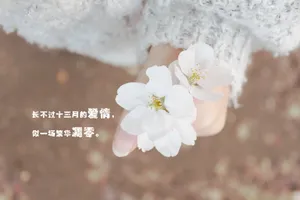 伤心难过的文字图片_1