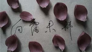 白露未晞伤感手写文字图片_1