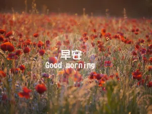 早安问候语图片