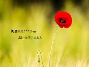 送给闺蜜的暖心的话_1