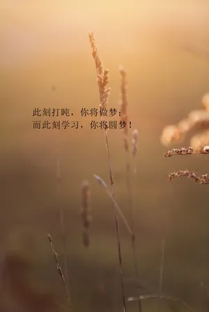高考励志图片手机壁纸_1
