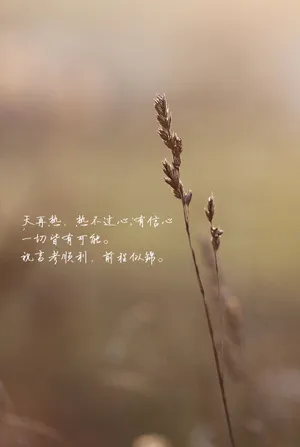 高考励志语录图片_1