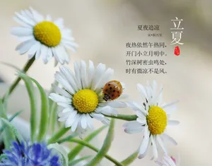 立夏诗句图片