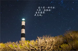 文字吧致爱情的短句