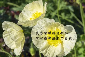 那些说到心坎的文字_1
