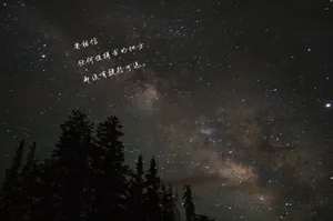暖心短句小清新励志
