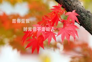 一句话打动人心