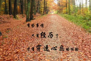 带字图片说说_1