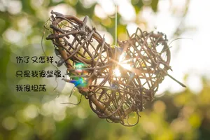 唯美清新文字图片_1