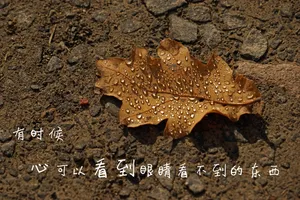 qq心情图片说说第1张