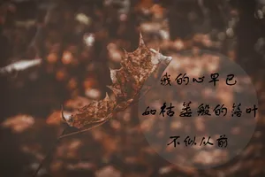 忧伤文字图片_1