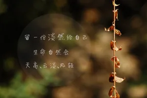 qq说说唯美图片_1