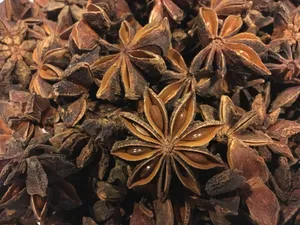 八角茴香香料图片_1