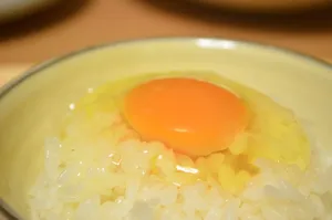 鸡蛋拌饭图片_1
