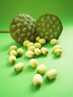 莲蓬和莲子图片第1张