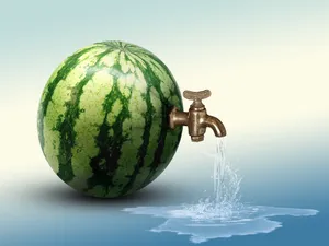 水果创意另类西瓜图片_1